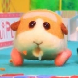 さら / S ゼルダ続編で迷子さんのプロフィール画像