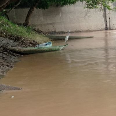 astroum45's profile picture. 