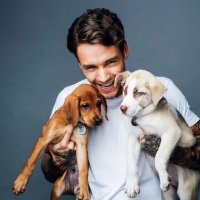 Liam Payne (@puppylp) 's Twitter Profile