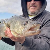 MAGAmason (@madmason6) 's Twitter Profile