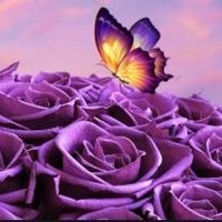 Cheryl Lacy - @CherylL91444745 Twitter Profile Photo