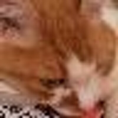 いくみ Yusuke Amamiya わたしは 小松未歩は結婚して 旦那さんの実家で同居して 姑がうるさい ひとで大変だけど 子どもも３人くらいできて子育てに一生懸命なんだと 信じてる U