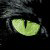 On-Line store Vintage, Retro, Indie, Nurave, emo etc etc etc etc etc Just check out our website
