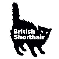 British Shorthair (@british_niigata) 's Twitter Profile Photo British Shorthair (@british_niigata) 's Twitter Profile Photo