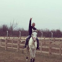 Metin GÜL (@metingul0534) 's Twitter Profile