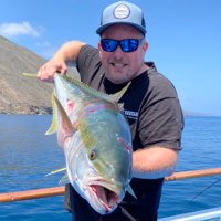 Davey Brown (@okumadave) 's Twitter Profile