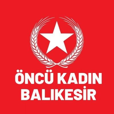 Vatan Partisi Öncü Kadın Balıkesir resmi twitter hesabıdır.