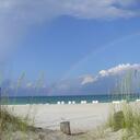 Barb Smith - @wants2bbeachbum - Twitter