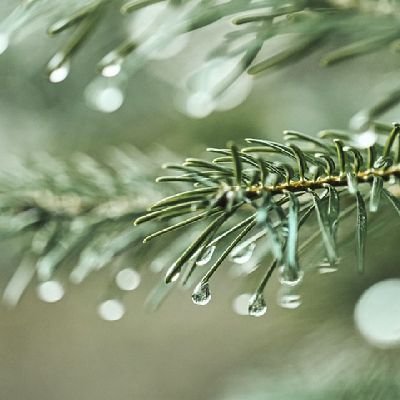 Ayotunde_Paul's profile picture. God's lover
Pythonista
Nature lover
video editor
web developer 
3Danimator
Photographer/videographer
Biochemist
Nano-technologist