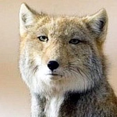 F92Om9sE4o2bR9U's profile picture. 