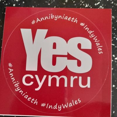 Dileds1's profile picture. Yes Cymru,  Cymru home and away,   Anti Tory, Annibyniaeth
