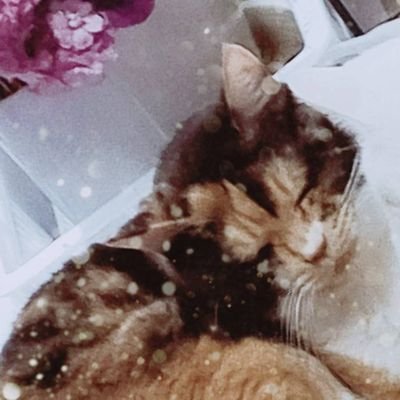 Euphonium_tomo's profile picture. ★公認心理師★精神保健福祉士★社会福祉主事任用資格★初級障がい者スポーツ指導員★マイクロソフトオフィスユーザースペシャリトWord一般
★統合失調症★アルコール依存症