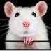 Northern Power Mouse 🌹🇪🇺 (@northernlass71) Twitter profile photo Northern Power Mouse 🌹🇪🇺 (@northernlass71) Twitter profile photo