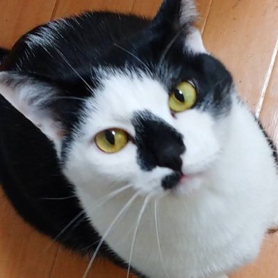 とばさんのプロフィール画像