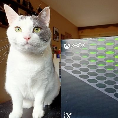 HauryKenny's profile picture. nul