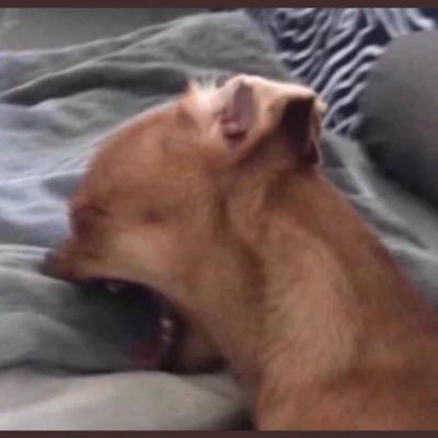 joseyy_512's profile picture. 