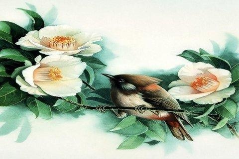 MiniBossMara's profile picture. I'm a mild to moderate threat - not meant to be taken very seriously.