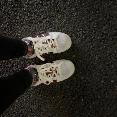 navi_poodle's profile picture. 社会不適合です。🐩様の下僕。