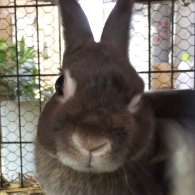 mnr_sk111's profile picture. 