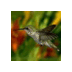 Gabriel Bruner - @71ubattou - Twitter
