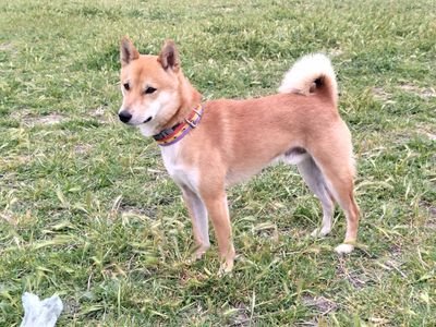 Mikiss35849563's profile picture. Obreros no votan a derechas