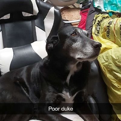 squardson's profile picture. A.K.A Jacob H
A gamer.
A friend.