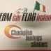 TeamCarFLagIreland-DalyChampionHurleys-Sliotars (@PadraigDaly9) Twitter profile photo