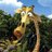MImpfung's profile image