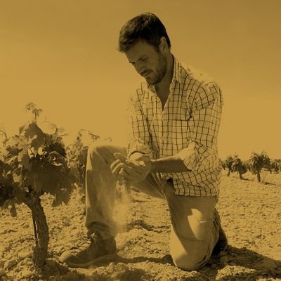 Fernando Mir - El Vino del Desierto