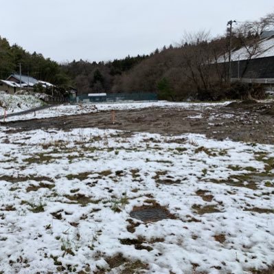 パタヤ、ボード、お酒、経営、台湾、済州島、₿、アルトコイン、遊戯王、シャドバ収集始めました