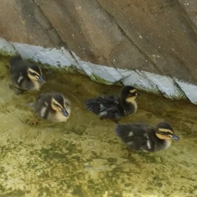 To3Kl8jqGf2bRVC's profile picture. ...