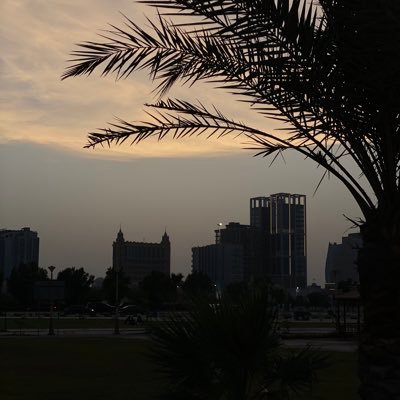 Alialsultaan's profile picture. سبحان الله والحمدلله