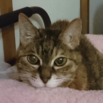 wwrD4tkZHCrLnVG's profile picture. 中村悠一、呪術廻戦、男闘呼組、 ROCKON SOCIAL CLUB 、平野紫耀、目黒蓮が好き      ほぼ呟かないのでお気になさらず