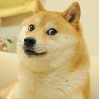 夏柒 (@kvf98spyuugzgzp) 's Twitter Profile