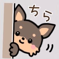 coco jardin@LINEスタンプさんのプロフィール画像