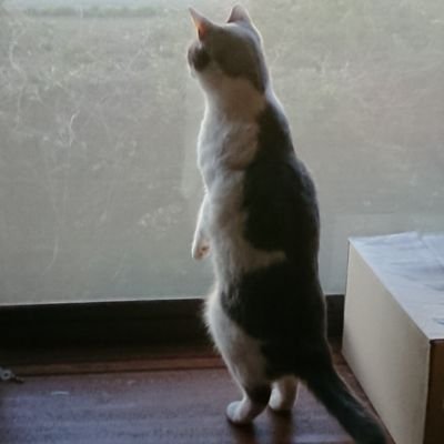 UFOdriverM's profile picture. betcover!!　Spangle call Lilli line　kroi 　　toconoma  people 1   wurts  kinggnu   w.o.d   賽   niko niko tan tan　ちゃんみな　hedigan's
geloomy