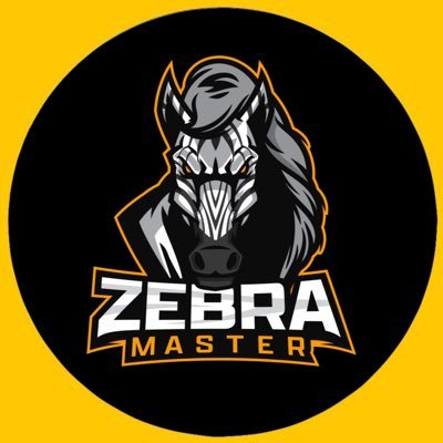 Brazilian Esports Organization. PUBGM #GoZM🤍🖤