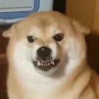 花卷儿外卖 (@3pujjvnwf9drpb8) 's Twitter Profile