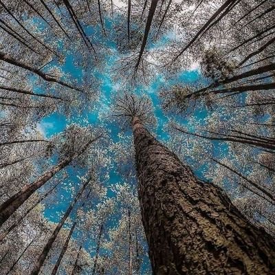 MeeenBk's profile picture. I like music