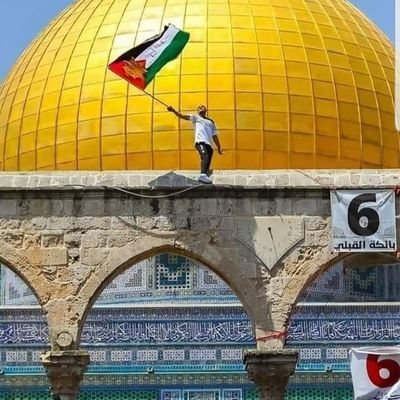 directormichel's profile picture. proud to be a Indian Muslim