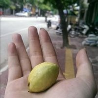 Collier Deacon ❤️ Memecoin (@collierdeacon) Twitter profile photo