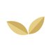Naturacea (@naturacea_) Twitter profile photo Naturacea (@naturacea_) Twitter profile photo