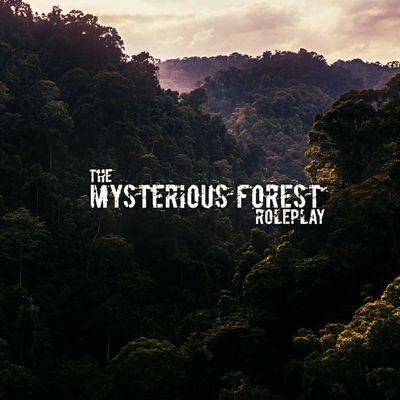 Yağmur Ormanlarını daha önce hiç bu kadar karanlık görmediniz.


  |  Amazon'un gizemli dünyasını keşfetmeye hazır mısın?  |