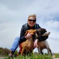 Gemma (@gemmawa49494924) 's Twitter Profile