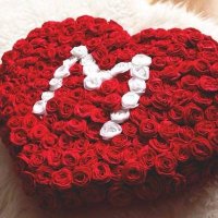ناصر الحق النايلي (@u042ryzywc23o6x) 's Twitter Profile