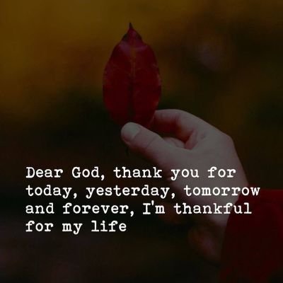 shrewd_h's profile picture. GOD case has no appeal