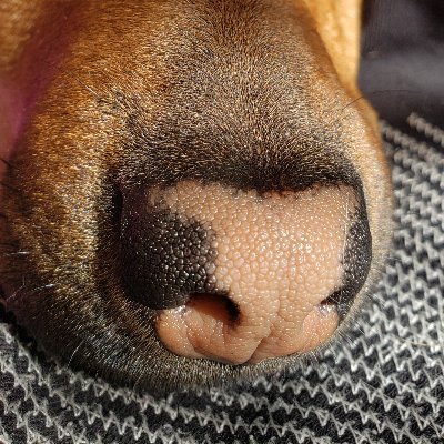 CrispoZoL's profile picture. Profesor de música...me interesa la tecnología, astronomía, deporte y cocina...en contra de las mentiras, a favor del pueblo y del Bulla!