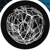 BarabasiLab (@barabasilab) 's Twitter Profile Photo