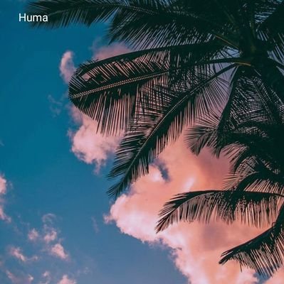 ishaaaaa__5's profile picture. 