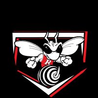 Hornet Baseball (@hornetbaseball1) 's Twitter Profile